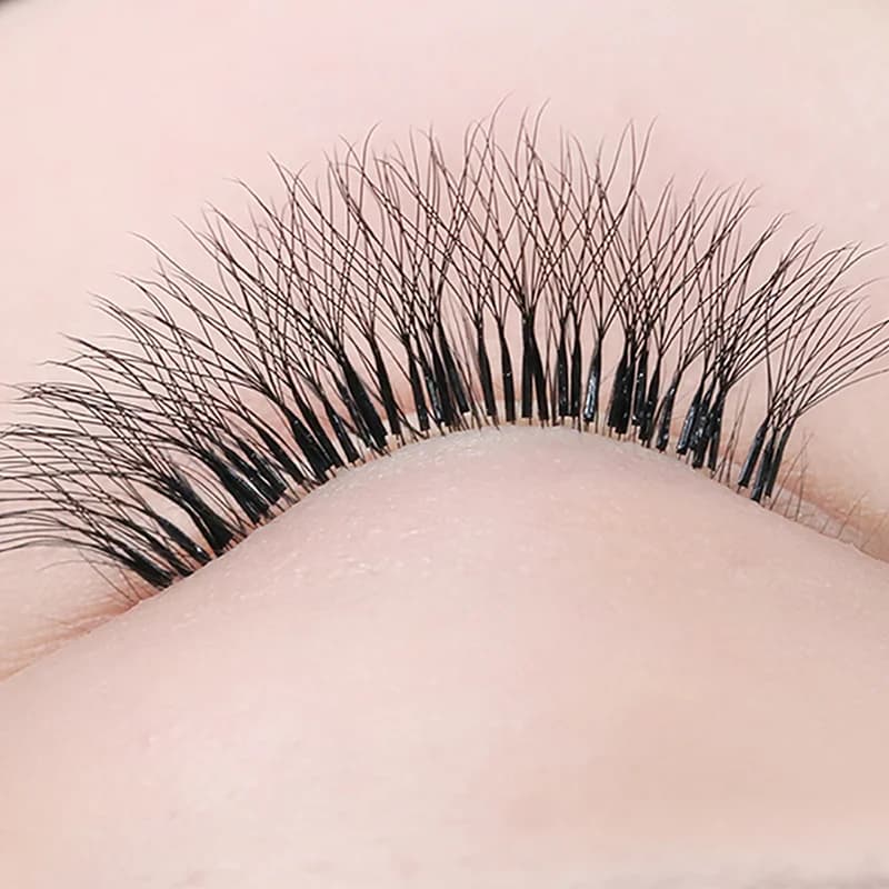 5D W-Form Vorfertigte Volumen Fächer C/D/L/M Curl