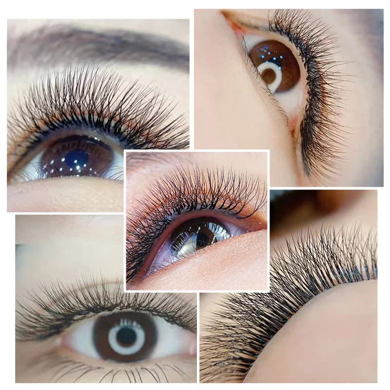 4D W-Form Blühende Vorgefertigte Fächer-Wimpernverlängerungen