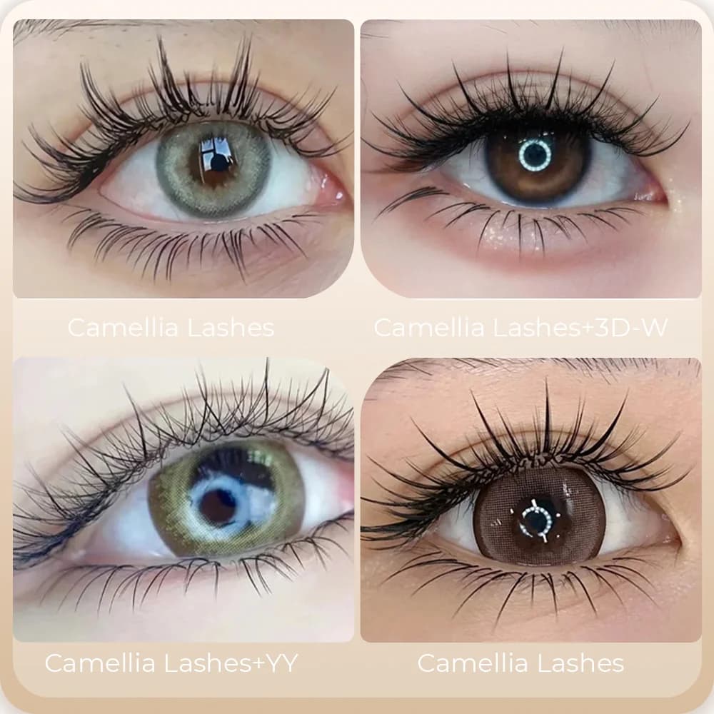 Camellia Bloom Einzelwimpern-Extensions mit Kleber