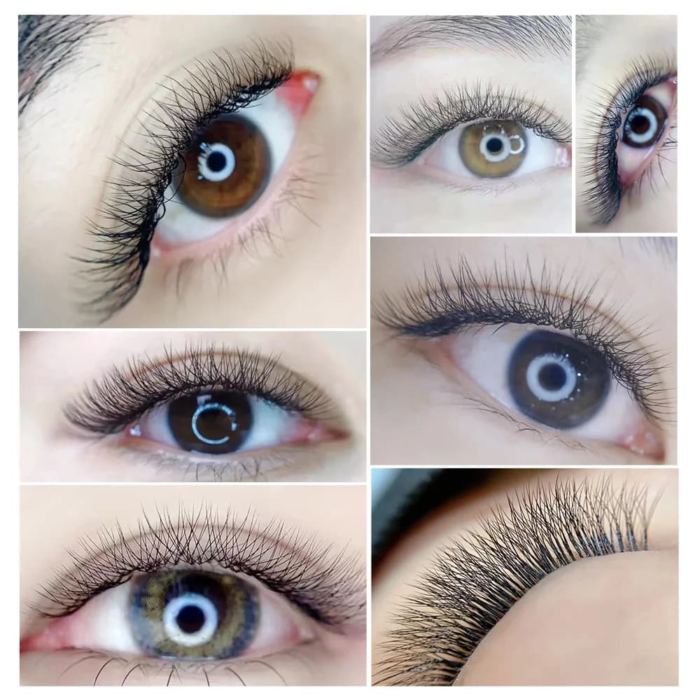W-förmige vorgefertigte 3D-Volumen-Wimpernverlängerungen