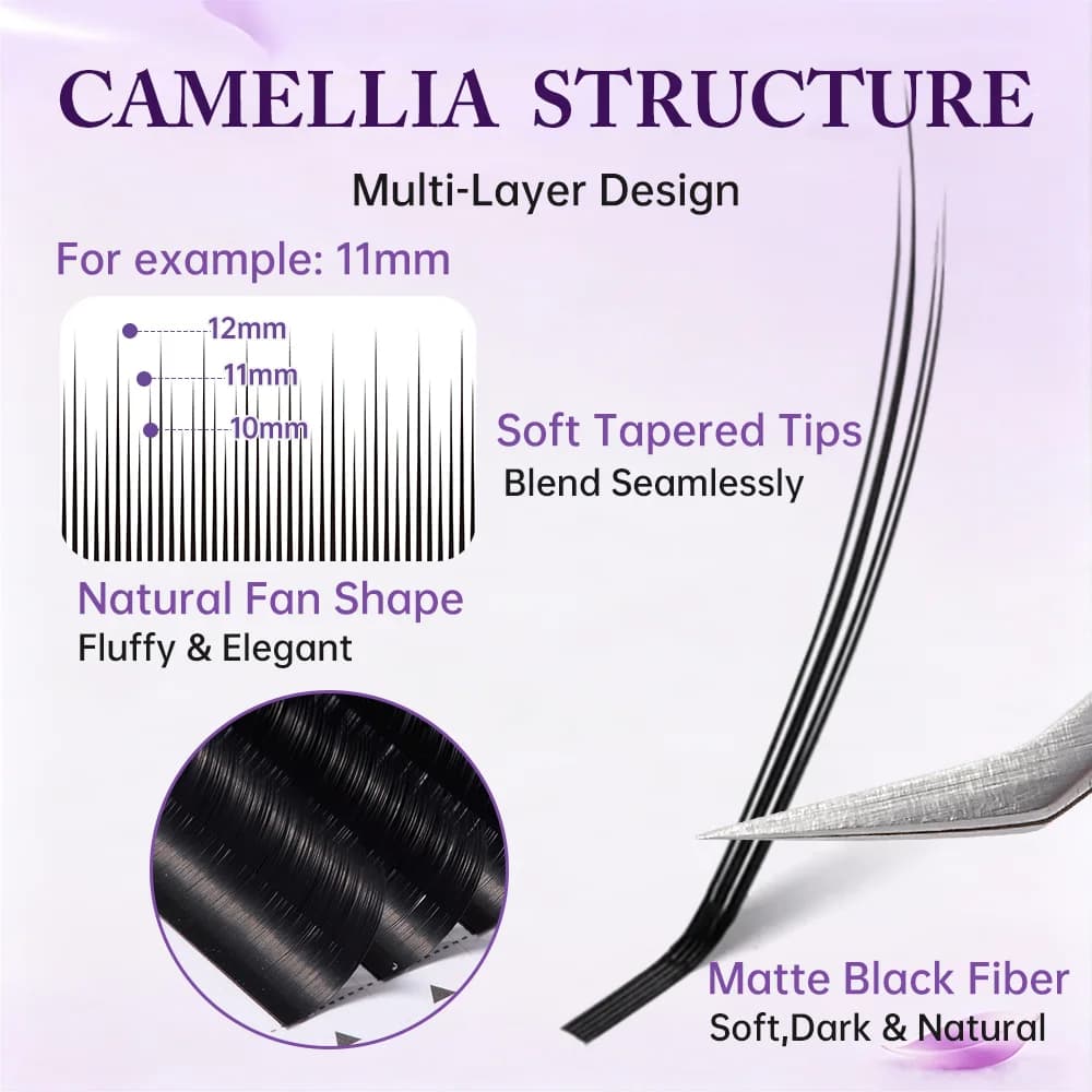 Camellia Volume Wimpernverlängerungen – Weich & Natürlich