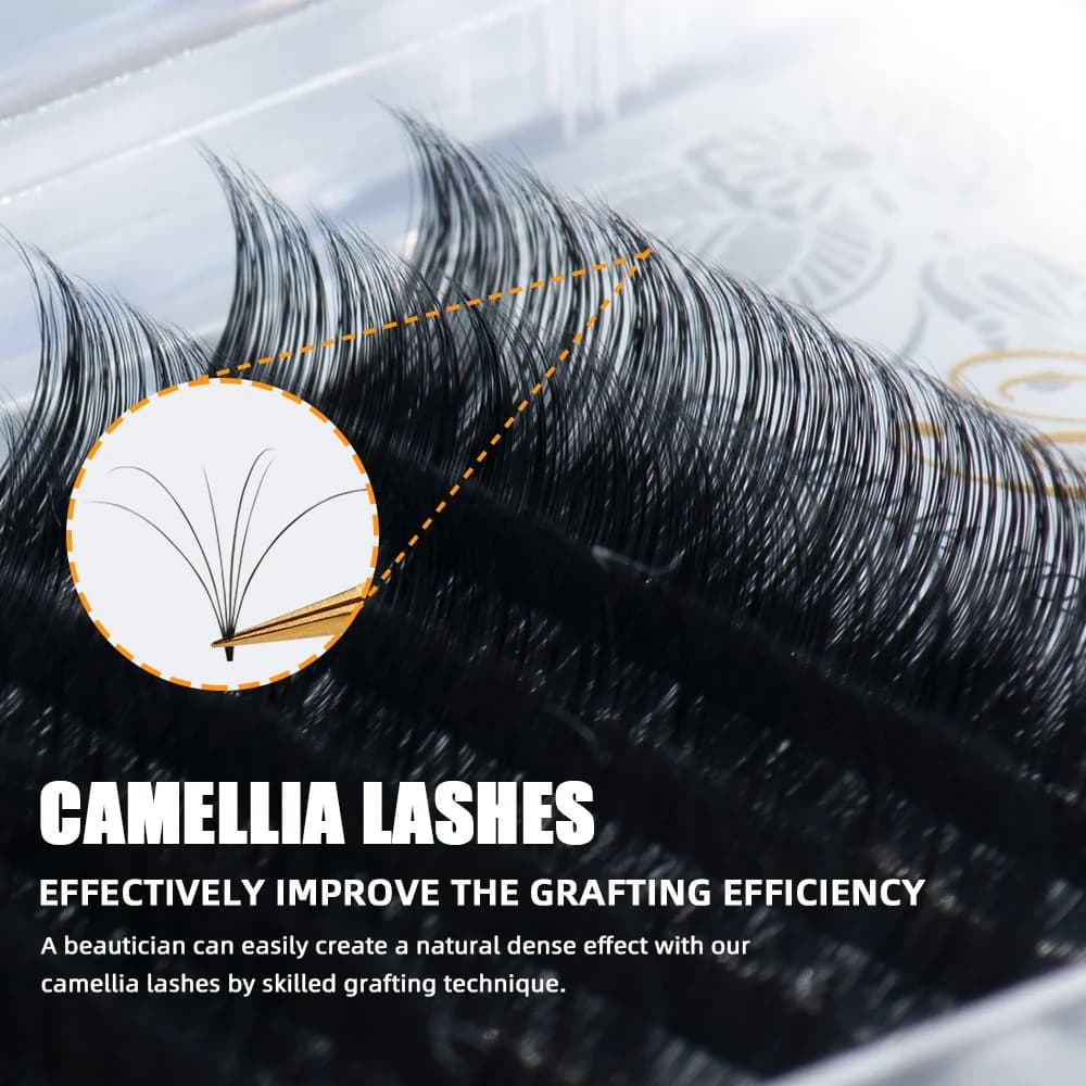 Camellia Multi-Längen Volume Fächer Wimpernverlängerungen