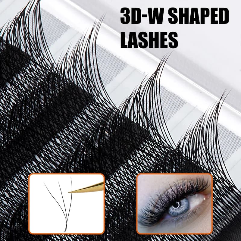 3D W-Form Volumen-Lash-Fächer (vorgefertigt)